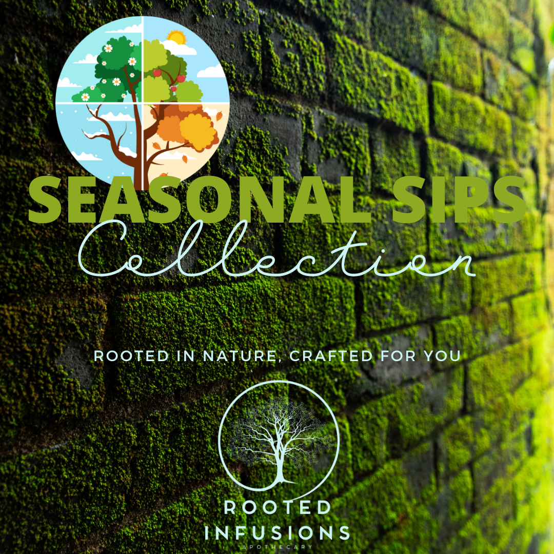 Rooted Infusions Collection: Seasonal Sips